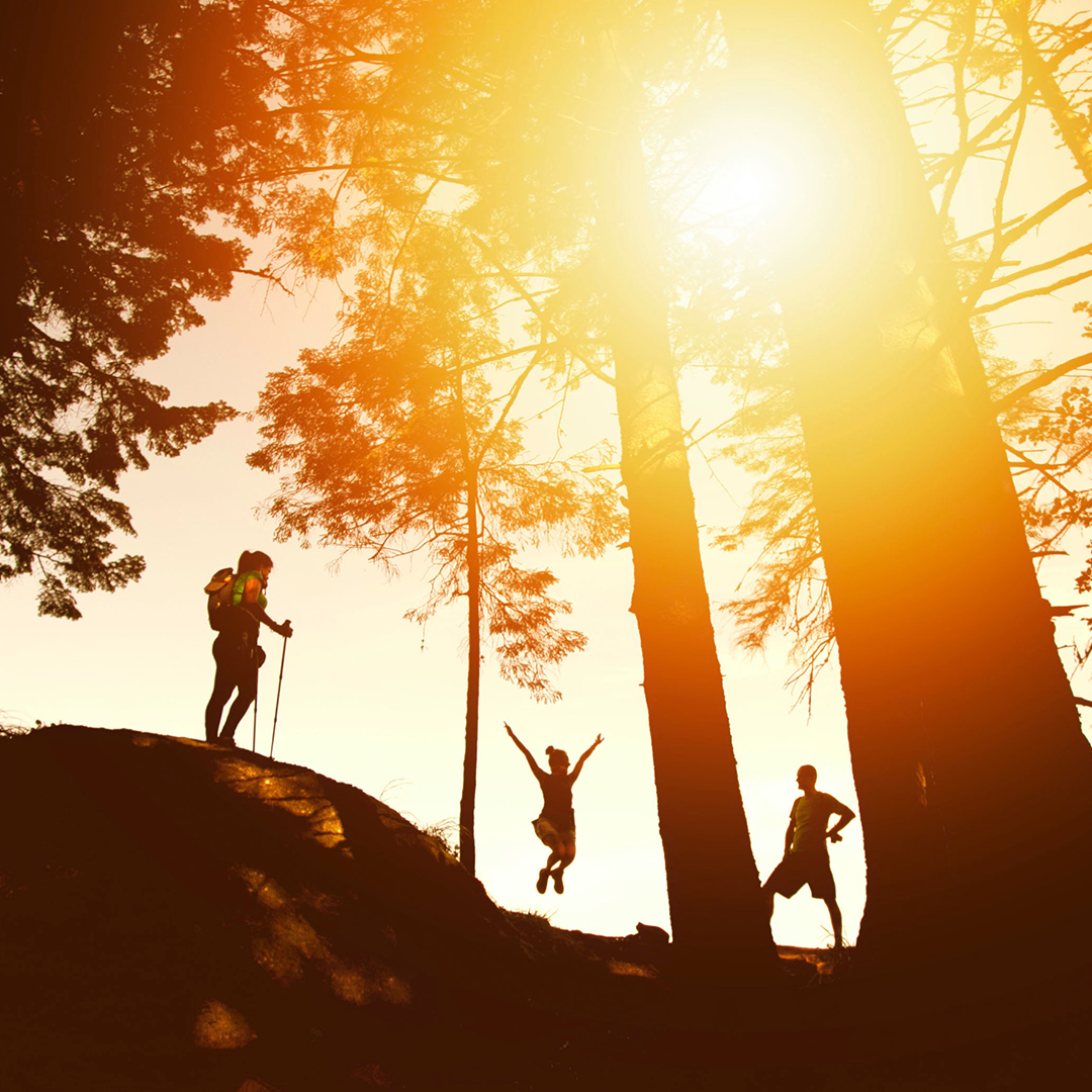 From Experience to Transformation