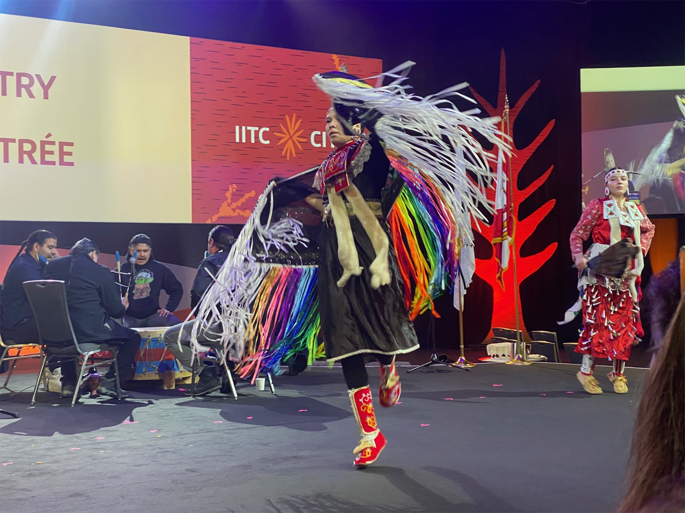 Grand Entry Ceremonies