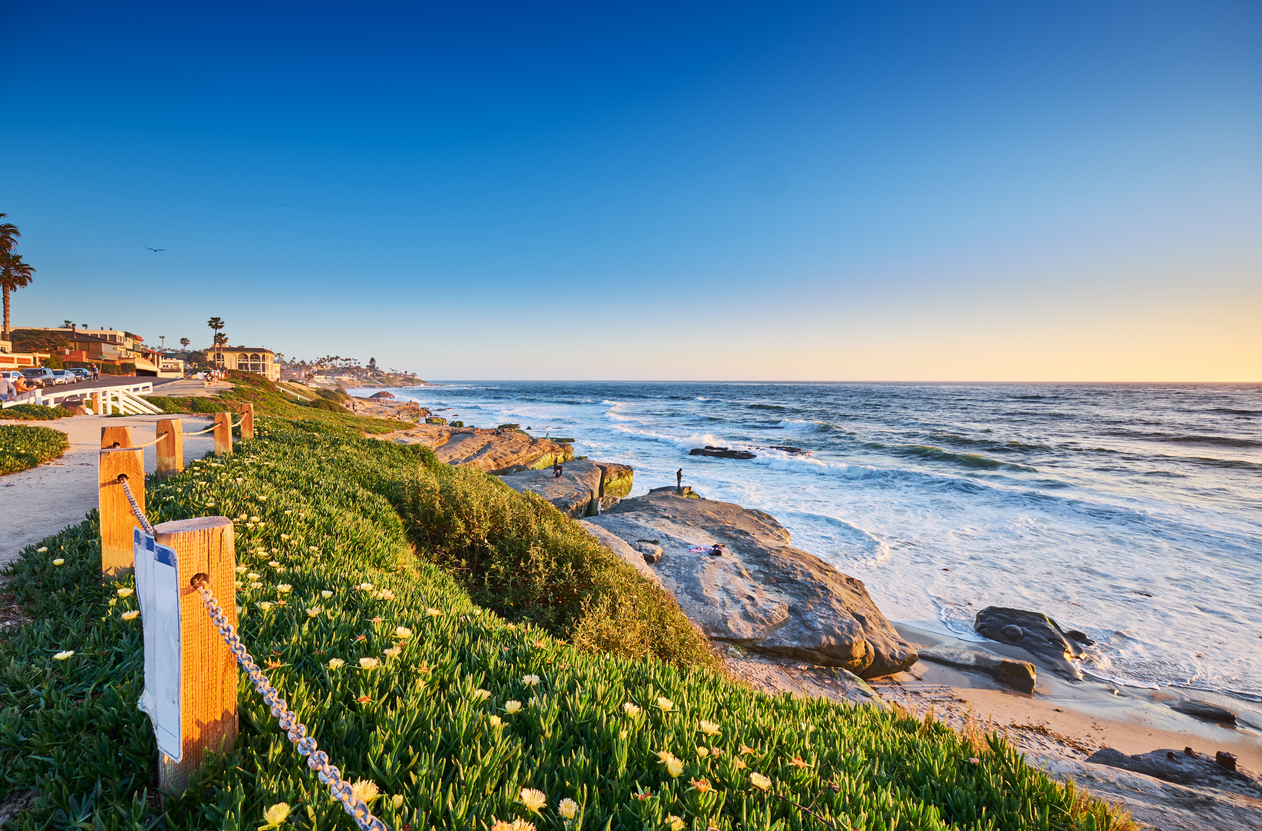 beach scene with sunny sky, grassy hill and sandy beach