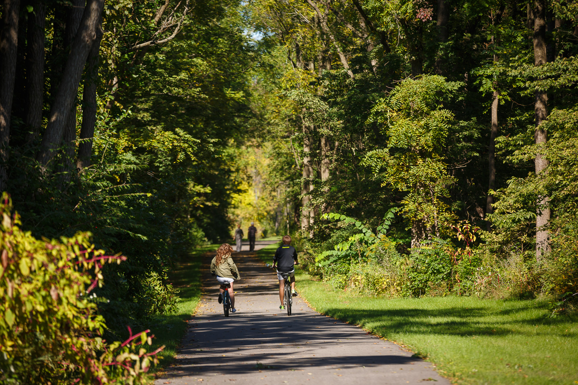 two children ride bikes on a path surrounded by trees