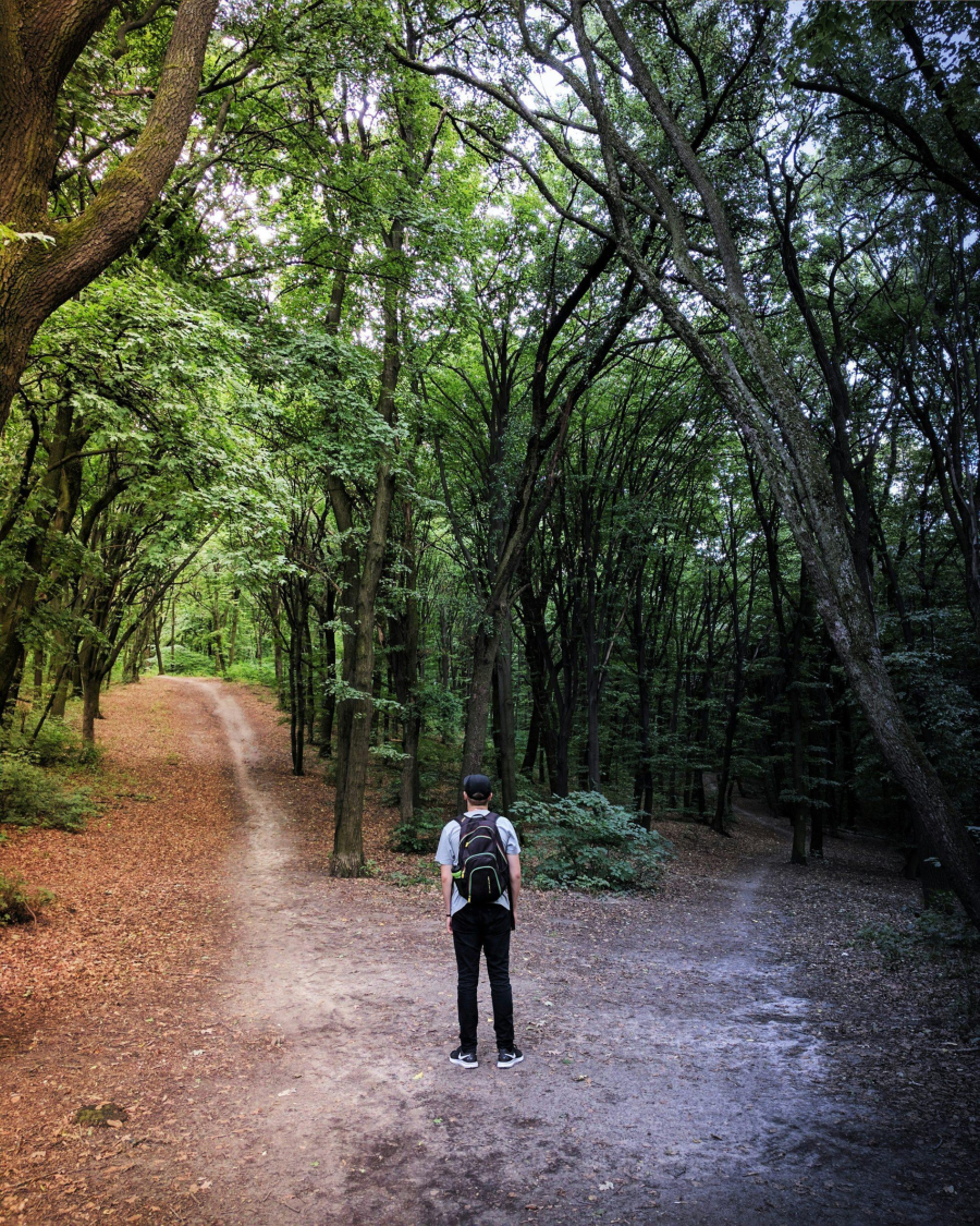 a man stands at a fork in the road