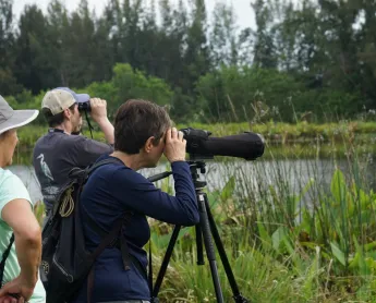group of people look through binoculars and a telescope at marshland