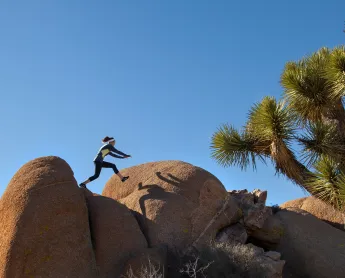 JoshuaTree 8.jpg.jpg