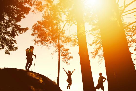 From Experience to Transformation