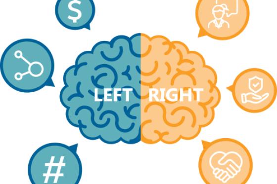 Left Brain Right Brain graphic