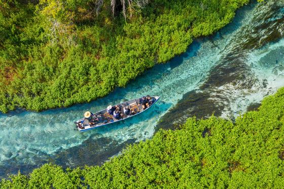 What is transformational travel and how can DMOs get involved? 