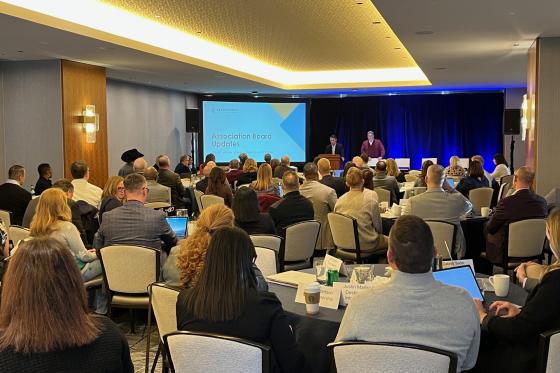 DI Board meeting - December 2024