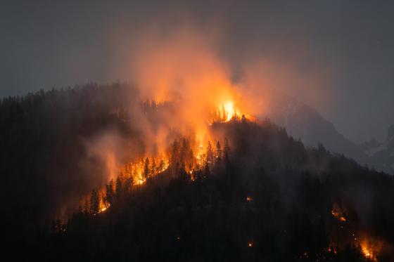 wildfire