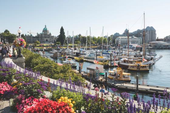 Inner Harbour with flowers and boats