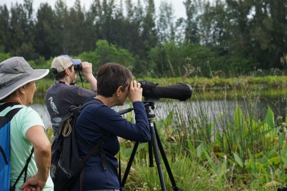 group of people look through binoculars and a telescope at marshland
