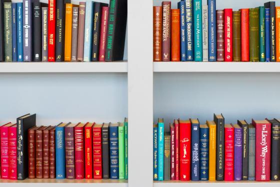 shelves full of brightly colored books