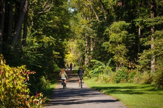two children ride bikes on a path surrounded by trees
