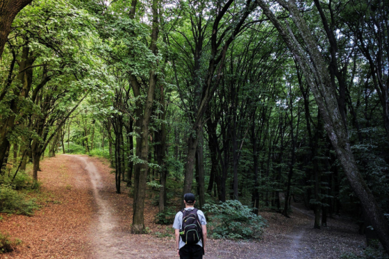 a man stands at a fork in the road