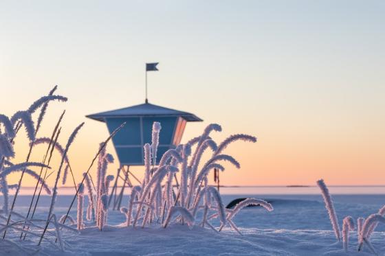 Arctic beach