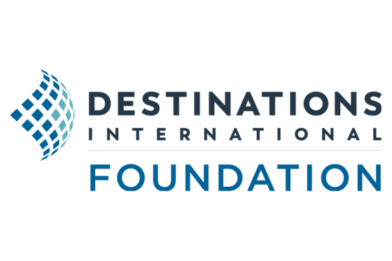 DI Foundation logo