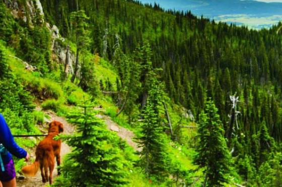 BeyondGlacierHeader_Slider_1160x350.jpg