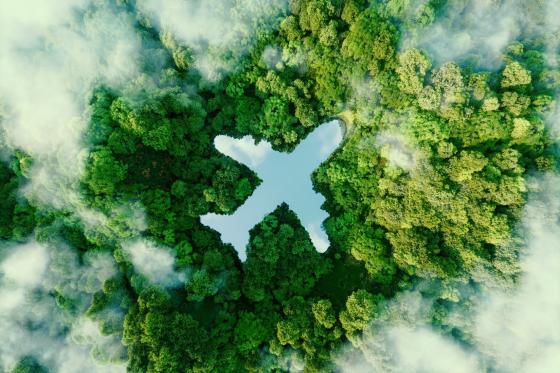 Expedia Group sustainable travel study .png