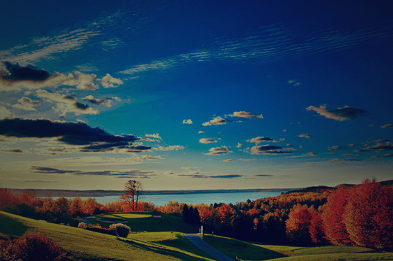background-fall.png