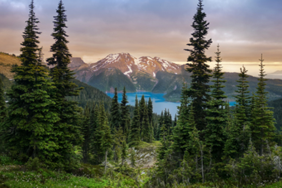 canadian tourism 1.png