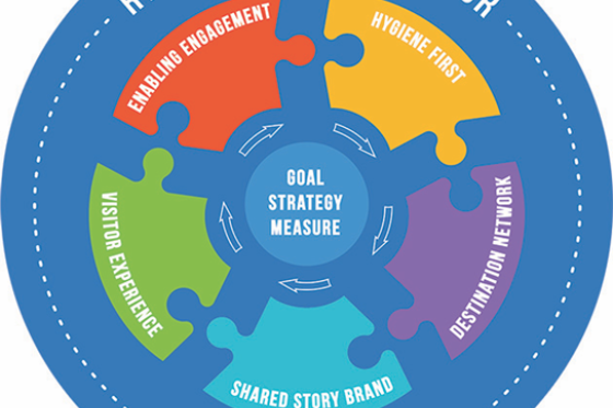 peacock blog image.png