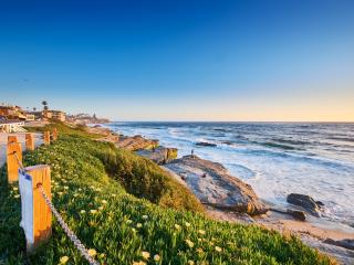 beach scene with sunny sky, grassy hill and sandy beach