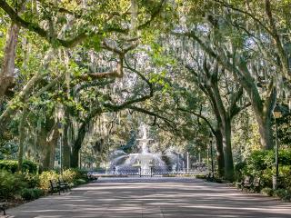 Savannah