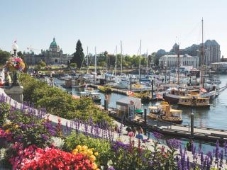 Inner Harbour with flowers and boats