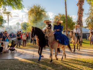 people riding horses during a parade