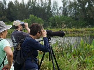 group of people look through binoculars and a telescope at marshland