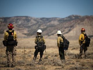 firefighters