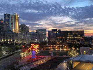 Dallas skyline at dusk with Pegasus 
