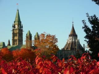 Parliament building in fall