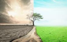 Transformation graphic