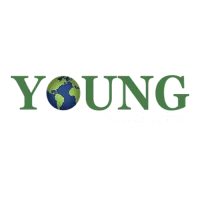 Young Strategies
