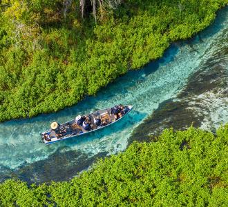 What is transformational travel and how can DMOs get involved?