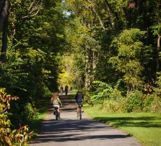 two children ride bikes on a path surrounded by trees