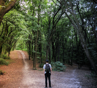 a man stands at a fork in the road