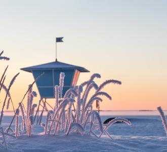 Arctic beach