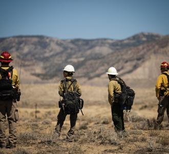 firefighters