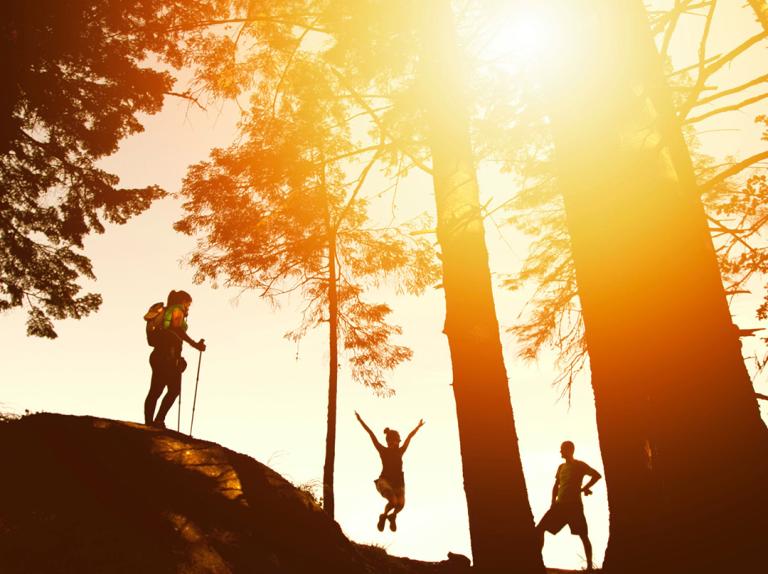 From Experience to Transformation