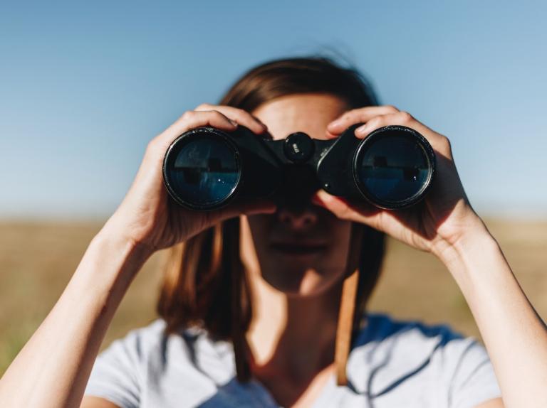 Why Do We Look into the Future and Why Do We Do It Every Two Years?