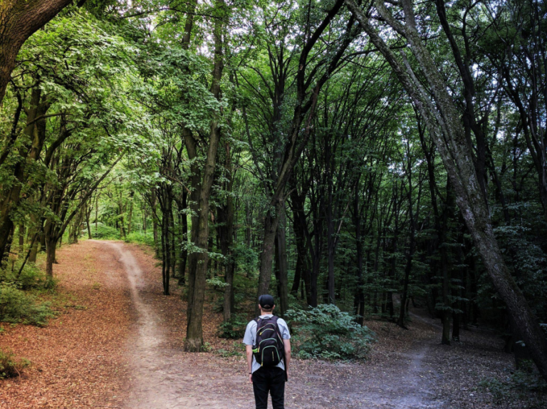 The Cost of the Status Quo: Why Doing Nothing Is Your Biggest Risk