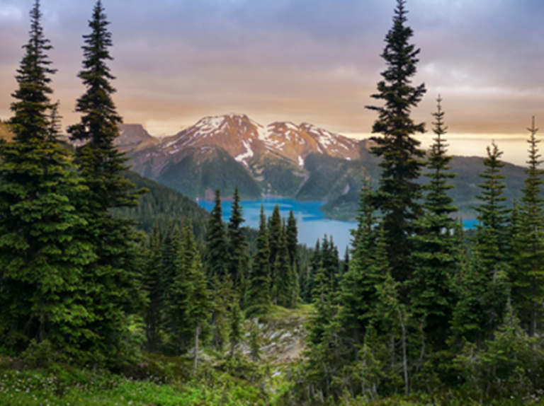 A collaborative approach to innovation is at the heart of the Canadian Tourism Growth Strategy