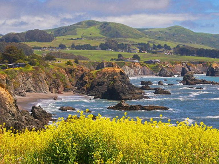 Your Destination - A Greener, Cleaner Agenda