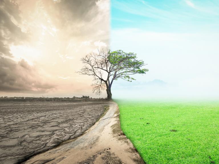 A Strategic Inflection Point for Our Industry