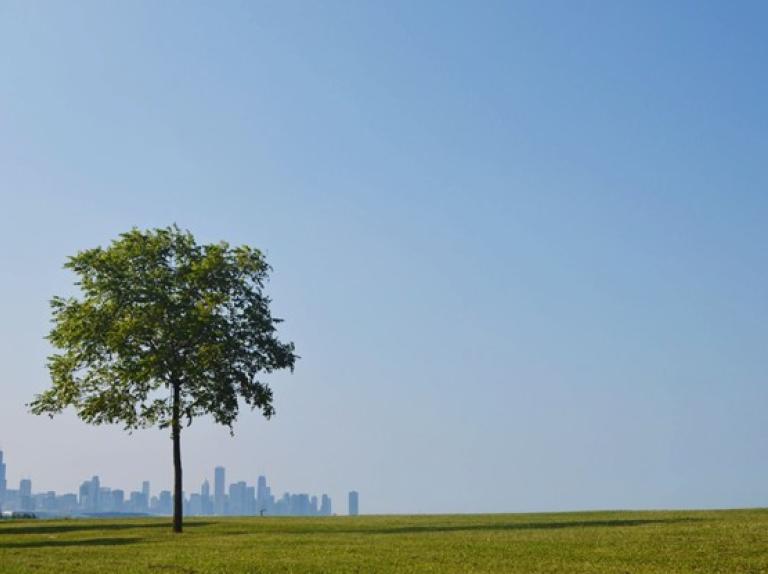 The Value of Awareness